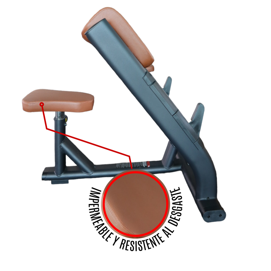 Infinité Banco Predicador para biceps/Preacher Curl/Scott Bench IF-F44