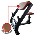 Infinité Banco Predicador para biceps/Preacher Curl/Scott Bench IF-F44