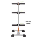 Hoist Fitness Olympic Weight Tree/ Rack tipo árbol para discos olímpicos HF-5444-PL