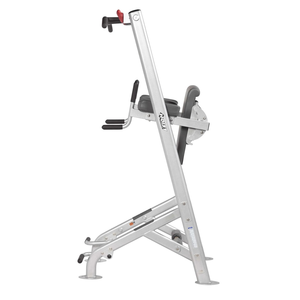 Hoist Fitness VKR  ESTACIÓN DE FONDOS, DOMINADAS, PULL UPS Y ABDOMEN / Fitness Tree Platinum HF-5962-PL