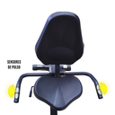 Sunny Fitness Bicicleta Recumbente con Brazos color Negro/ Recumbent bike with Arm Excerciser Black SF-RB4631B