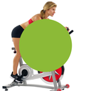 Sunny Bicicleta de Profesional Indoor Cycling Bike SF-B901