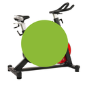 Sunny Health &amp; Fitness Bicicleta Magnetica Traccion Por Banda SF-B1714