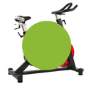 Sunny Health & Fitness Bicicleta Magnetica Traccion Por Banda SF-B1714