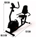 Sunny Health and Fitness Bicicleta Recumbente SF-RB4616SB