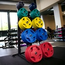 Body Solid Rack discos y bumper / Capacity Olympic Weight Tree BS-GWT76