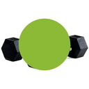 Bodytone Par de Mancuernas Hexagonales de 2 Kg BT-H2