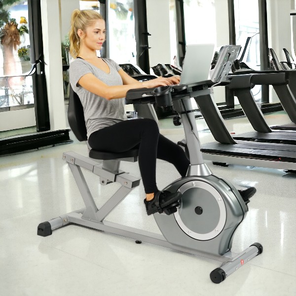 Sunny Health & Fitness Bicicleta Reclinada Convertible SF-RBD4703