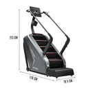 Sunny Fitness Escalera Premium Stepper Stair Climber SF-X7300