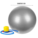Sunny Health & Fitness Pelota de Gimnasio anti explosion con bomba de aire 65cm  SF-NO.056