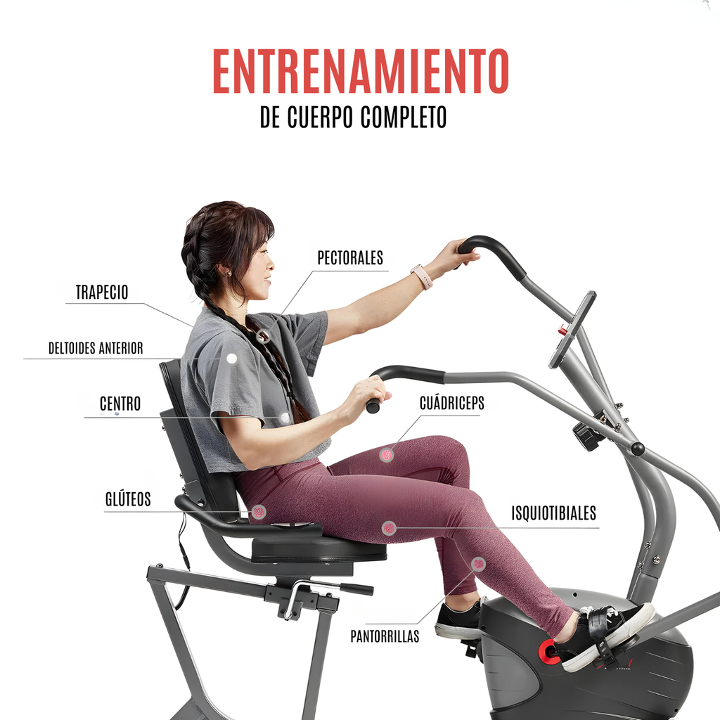 SUNNY HEALTH & FITNESS Bicicleta reclinada interactiva de alto rendimiento SF-RB420032