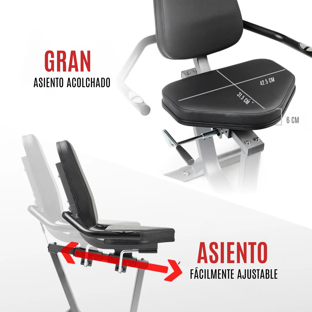 SUNNY HEALTH & FITNESS Bicicleta reclinada interactiva de alto rendimiento SF-RB420032