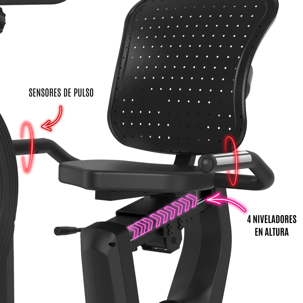 BodyTone Bicicleta reclinada pro BT-EVOR4