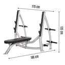 Hoist Banco plano olímpico con espacio de almacenamiento// Olympic bench-flat CF-3170