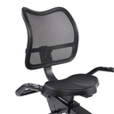 Sunny Bicicleta reclinada magnética inteligente, resistente, capacidad de peso de 350 lb SF-RB424002