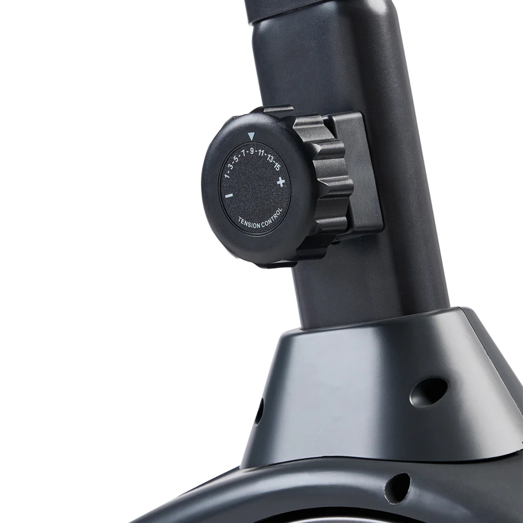 Sunny Bicicleta reclinada magnética inteligente, resistente, capacidad de peso de 350 lb SF-RB424002