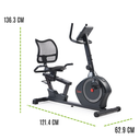 Sunny Bicicleta reclinada magnética inteligente, resistente, capacidad de peso de 350 lb SF-RB424002