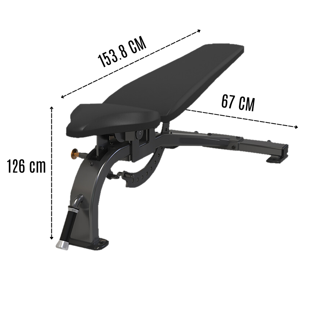 Infinité Multi-Adjustable Bench IF-APEB11104-O