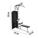 Infinité Strong Polea alta y remo/ Lat pulldown & row Mod. IF-C16B