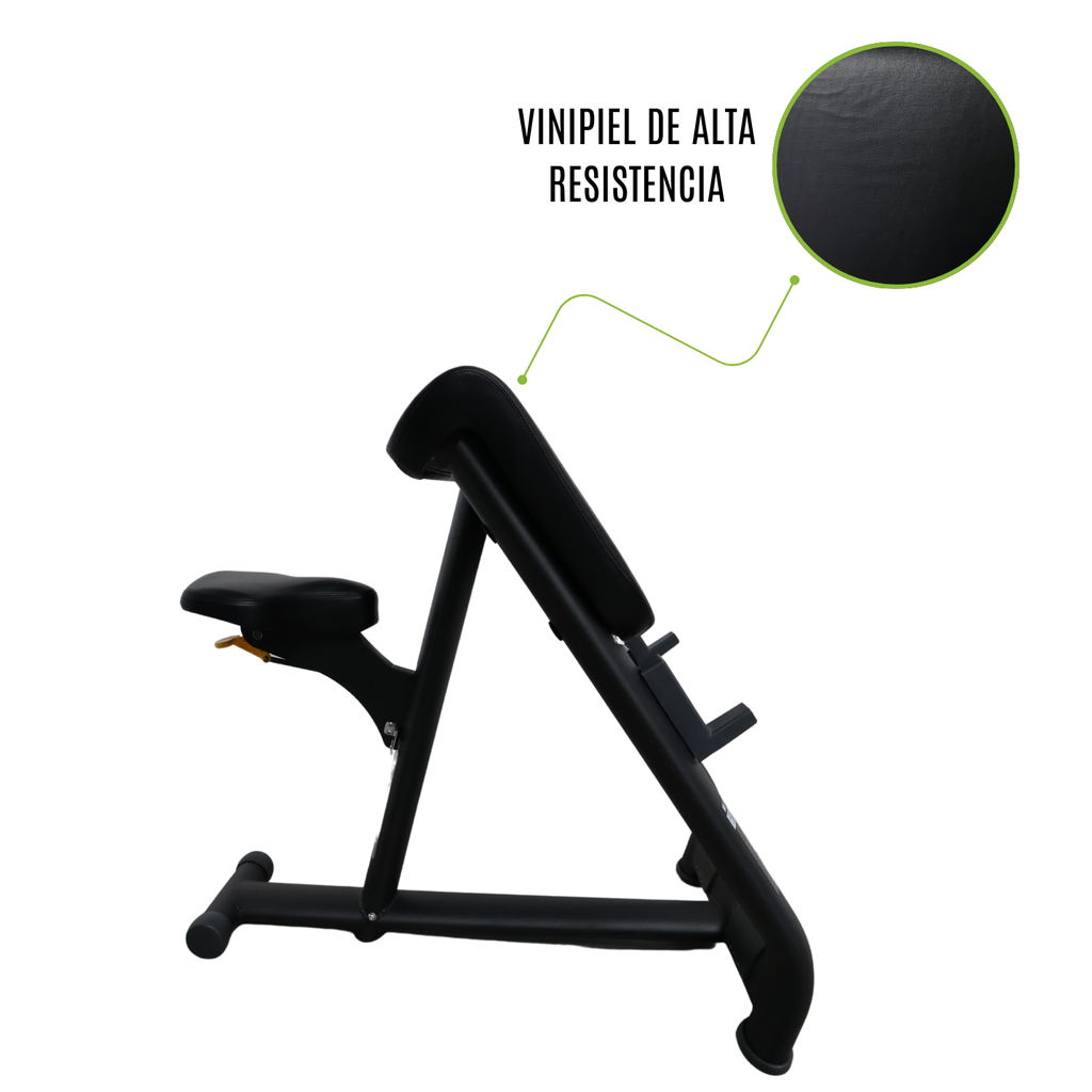 Infinité Banco Predicador para biceps/Preacher Curl/Scott Bench IF-AN13
