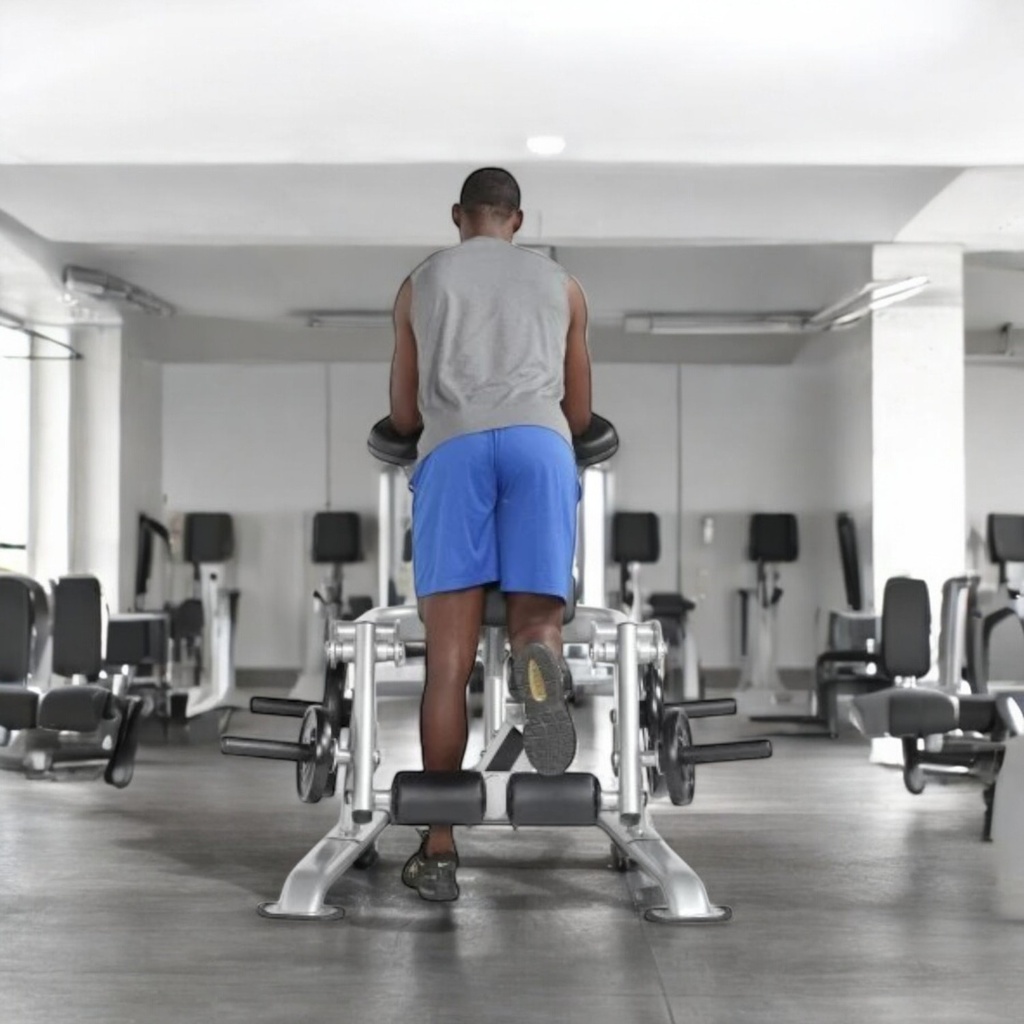 HOIST KNEELING LEG CURL CF-3411