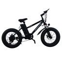 Infinité Bicicleta Eléctrica Profesional Rodada 20 IF-MBG300