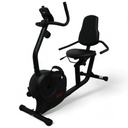 Sunny Health and Fitness Bicicleta Recumbente Smart SF-RB4616SB