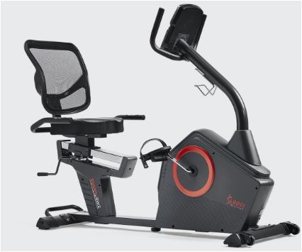 Sunny Health and Fitness Bicicleta Recumbente Profesional Programable SF-RB4850SMART