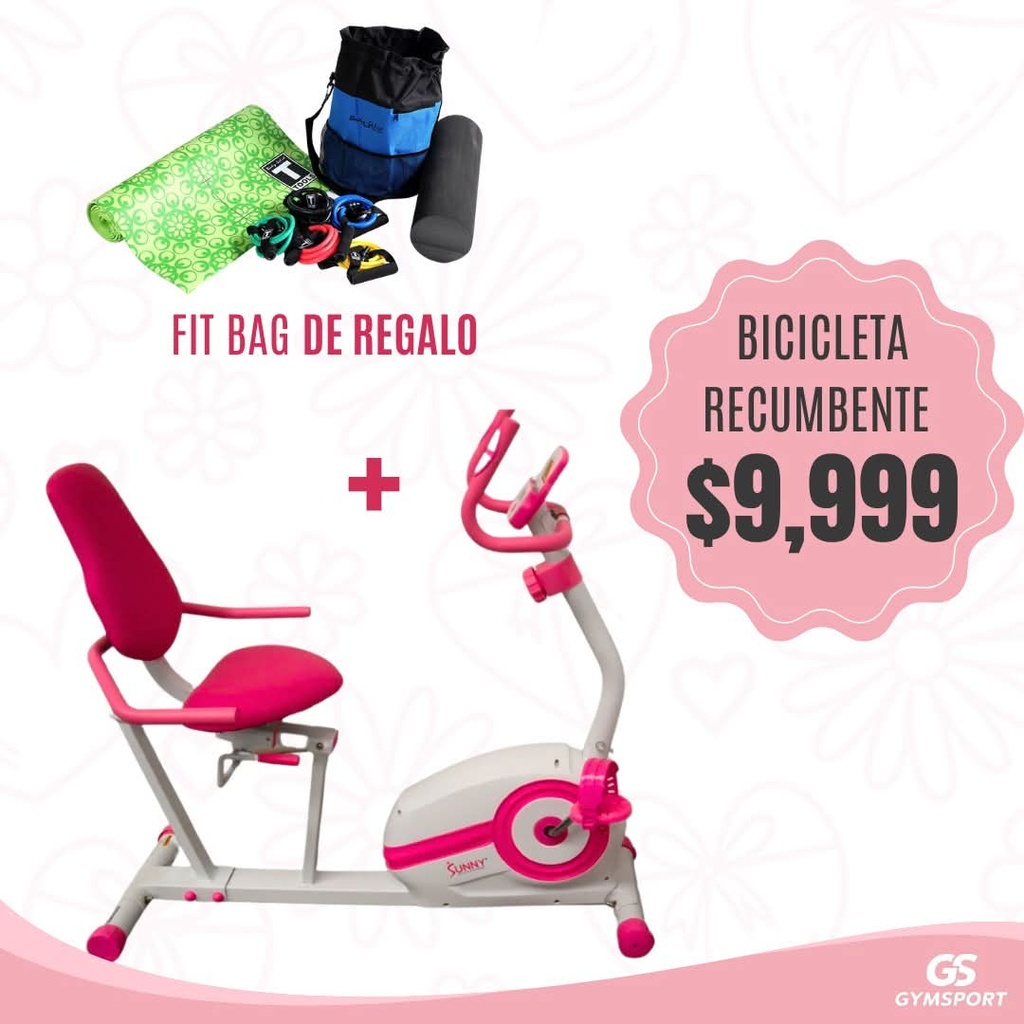Sunny Health and fitness Bicicleta reclinada Rosa (SF-RB422003P) + Body Solid Paquete de entrenamiento para fitness (BS-BSTFITBAG) / IF-PAQBR