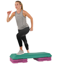 Sunny Banco para Step Aeróbics de Lujo SF-NO.049