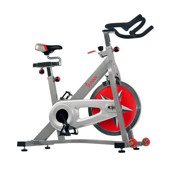 Sunny Bicicleta de Profesional Indoor Cycling Bike SF-B901