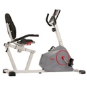 Sunny Bicicleta Magnética con Transmisión Silenciosa y Monitor de Rendimiento SF-RB4953