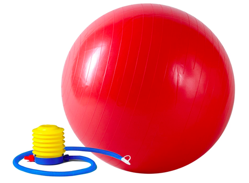 [SF-NO.055] Sunny Pelota de Gimnasio anti explosión con bomba de aire 55cm  SF-NO.055