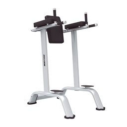 [BT-EB10] BodytoneDip and Knee Raise bench BT-EB10