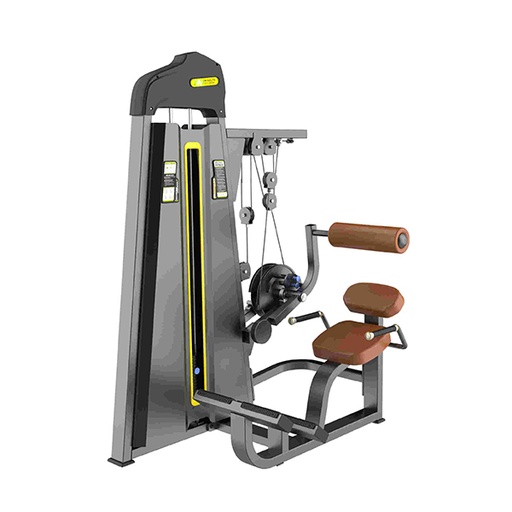 [IF-F85] Abdominal / Back Extension Infinité IF-F85